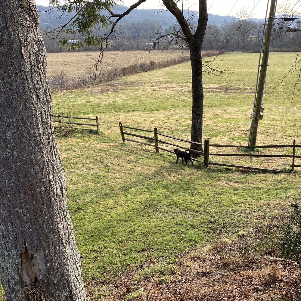 Barkwells - Vacation Rentals Near Me - Mills River, North Carolina
