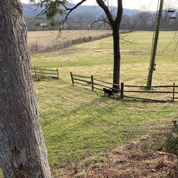 Barkwells - Vacation Rentals Near Me - Mills River, North Carolina