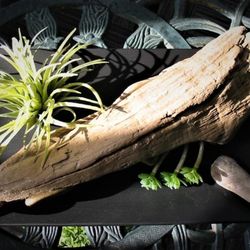 Fleuriste Juliette - Photo
