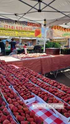 Orange Home Grown Farmers & Artisans Market by null