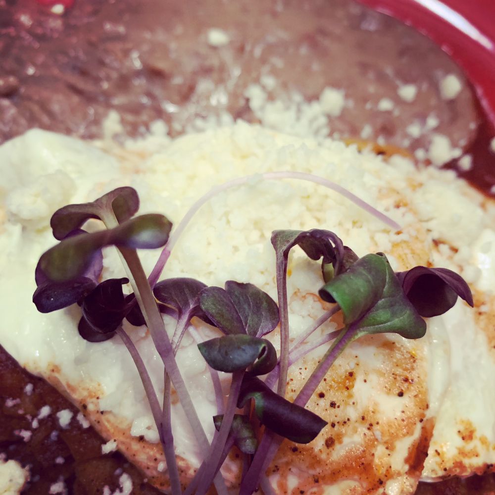 Village Greens Farm Logo