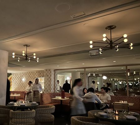 Little Maven by null