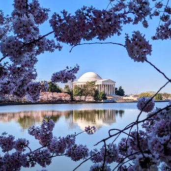 Tidal Basin - Jefferson Memorial 2023 - Lakes Near Me - Washington, DC, District of Columbia