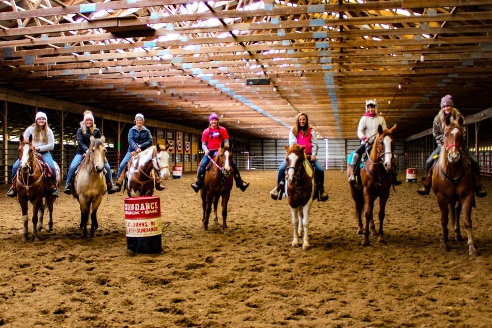 Sundance Riding Stables - equestrian in Grand Ledge, MI
