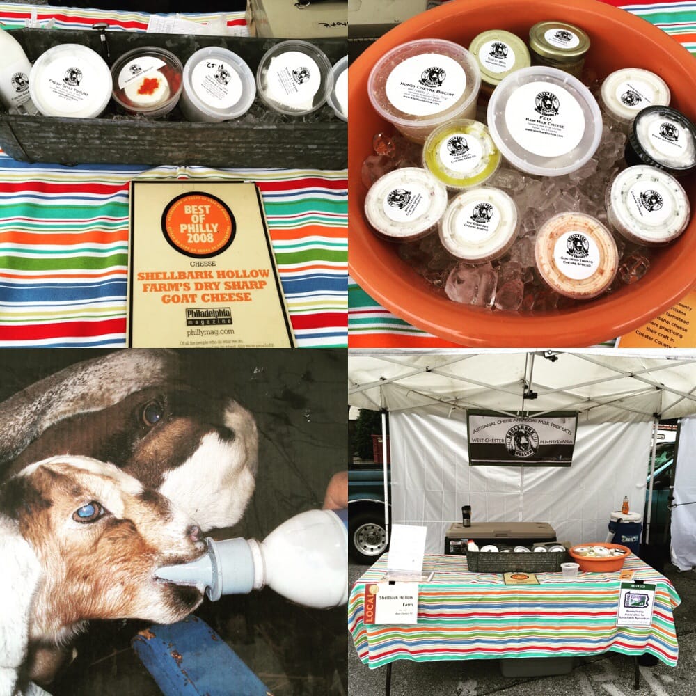 Shellbark Hollow Farm Logo