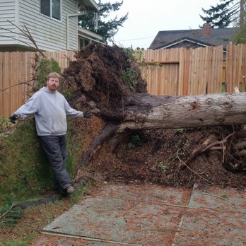 Haskins Tree Care - Tree Services Near Me - Carnation, Washington Haskins Tree Care - Tree Services Near Me - Carnation, Washington
