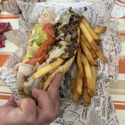 Separate Fries I ordered for $4.00 that were placed on the same plate as my Cheesesteak.