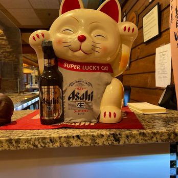 Kyodai Sushi Rock - Entry cat - Sushi Bars Near Me - Orange Park, Florida Kyodai Sushi Rock - Entry cat - Sushi Bars Near Me - Orange Park, Florida