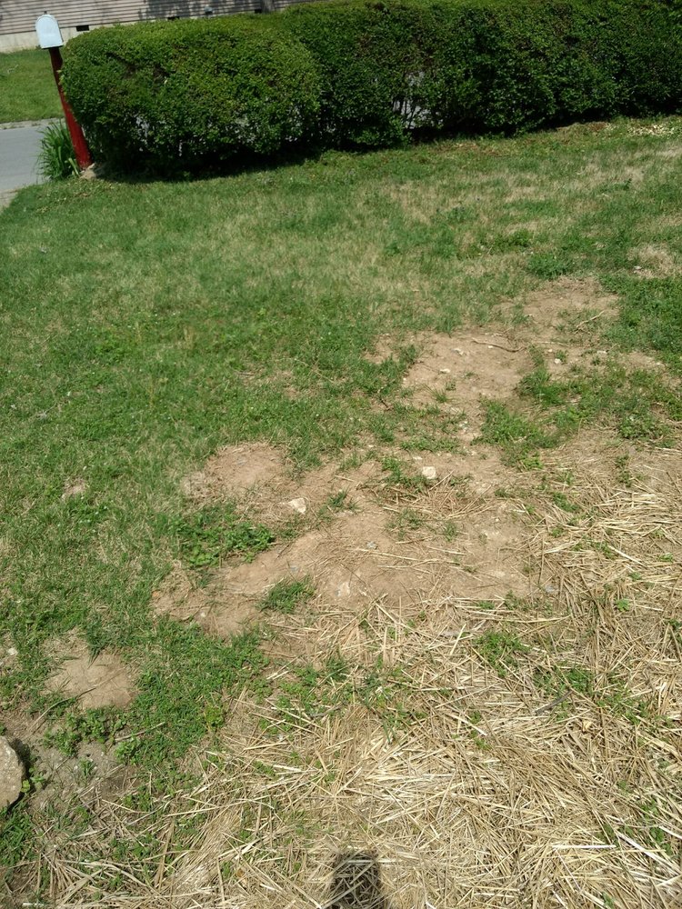 Slide of Pro N Stall