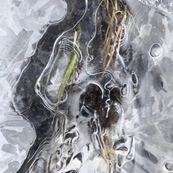 B & L Photo Lab - A photo of ice with air bubbles and grass. - Printing Services Near Me - Milwaukee, Wisconsin