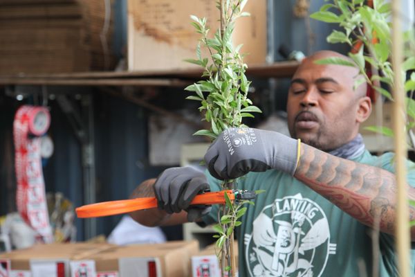 Planting Justice by null