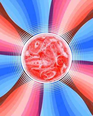 The Human Bean by null