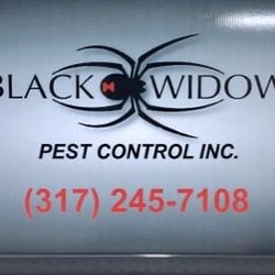 Black Widow Pest Control - Calls us TODAY!