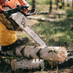 Big Ease Tree Service