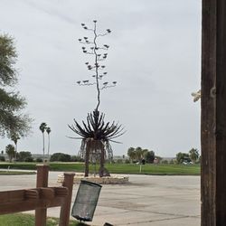 Desert Hills - 2/28/25