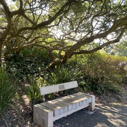Walter Haas Park and Playground