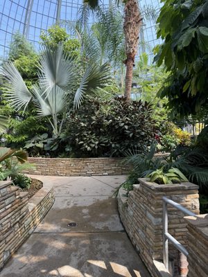 Anna Scripps Whitcomb Conservatory by null