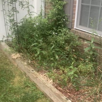 Mayorga Landscaping - The before - Landscaping Near Me