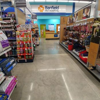 PetSmart - Pet Stores Near Me - Jacksonville Beach, Florida PetSmart - Pet Stores Near Me - Jacksonville Beach, Florida