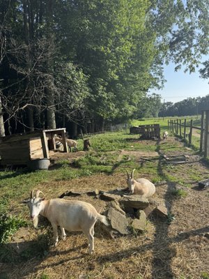 Arrowhead Bike Farm and Campground by null