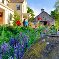 Meadow Mist Farm