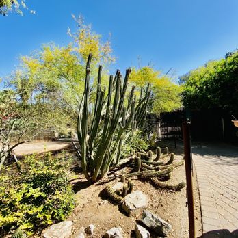 Phoenix Zoo - Zoos Near Me - Phoenix, Arizona Phoenix Zoo - Zoos Near Me - Phoenix, Arizona