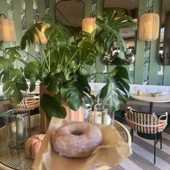 Dodo Bird Donuts - Donuts Near Me - La Jolla, California