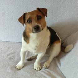 Friederike Haver - Unser Lucky!