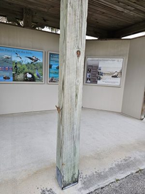 Pelican Island National Wildlife Refuge by null