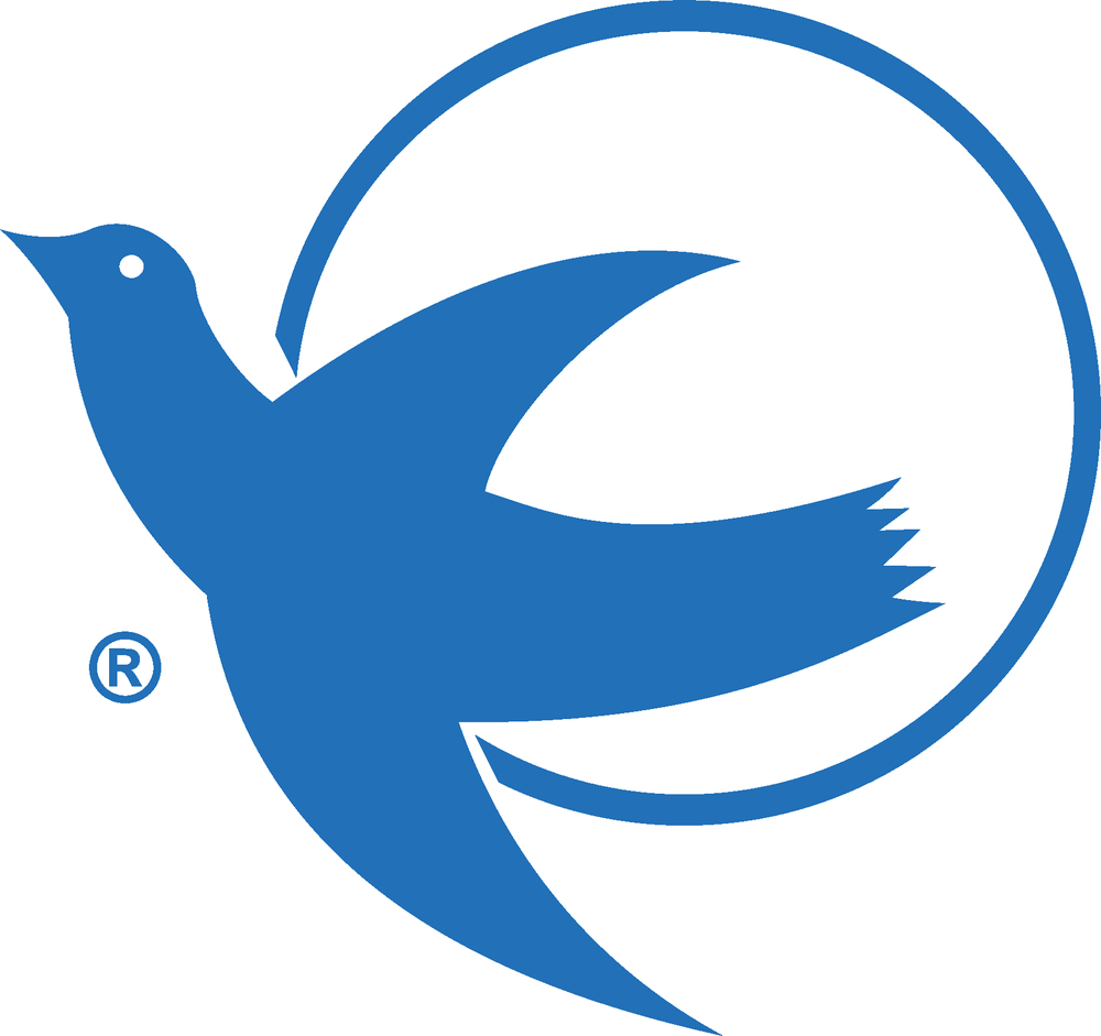 Visiting Angels Senior Home Care - home care agency in Bellevue, NE