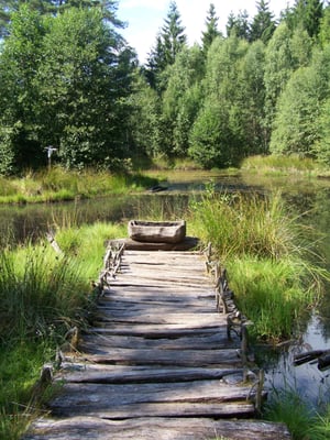 Vitlycke Museum by null