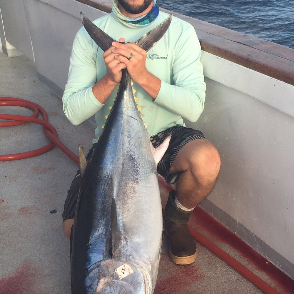 Hogan's Bait & Tackle - Nice grade bluefin. Yummy - Sporting Goods Near Me - Dana Point, California Hogan's Bait & Tackle - Nice grade bluefin. Yummy - Sporting Goods Near Me - Dana Point, California
