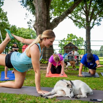 Goat Yoga Texas - Yoga Near Me - Tomball, Texas Goat Yoga Texas - Yoga Near Me - Tomball, Texas