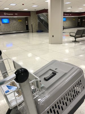 United Airlines by null