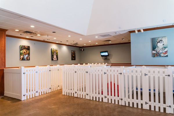 Barking Hound Village - Dallas