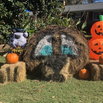 Grooming barn - Happy Halloween - Pet Groomers Near Me - Toccoa, Georgia
