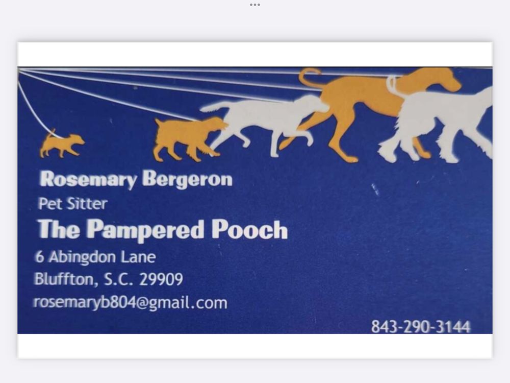 THE PAMPERED POOCH 6 Abingdon Ln, Bluffton, South Carolina Pet