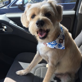 The Spaw - Pet Groomers Near Me - Tustin, California The Spaw - Pet Groomers Near Me - Tustin, California
