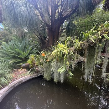 Miami Beach Botanical Garden - Just beautiful - Botanical Gardens Near Me - Miami Beach, Florida