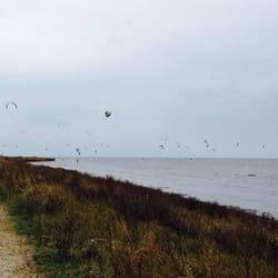 Kongelunden Skov - Gang i den på vandet
