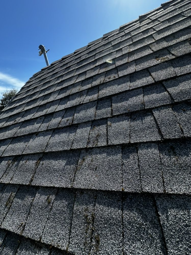 Slide of H&A Services