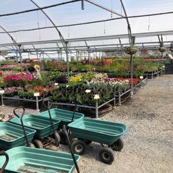 Watsons Garden Centre