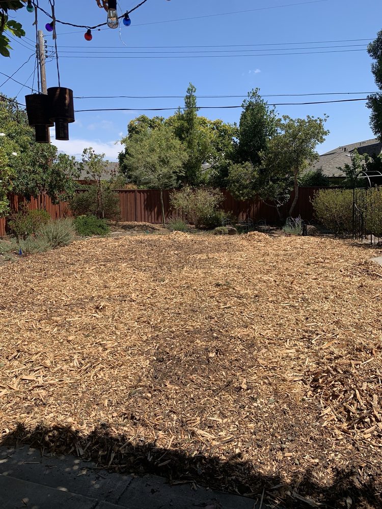 San Jose Yard Cleanup - tree service in San Jose, CA