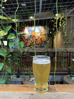 Young Blood Beer Company - King Street by null