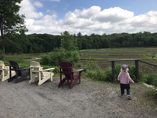 Muskoka Lakes Farm & Winery by null