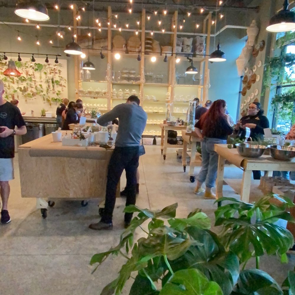 PlantHouse - Terrarium stations - Nurseries & Gardening Near Me - Charlotte, North Carolina