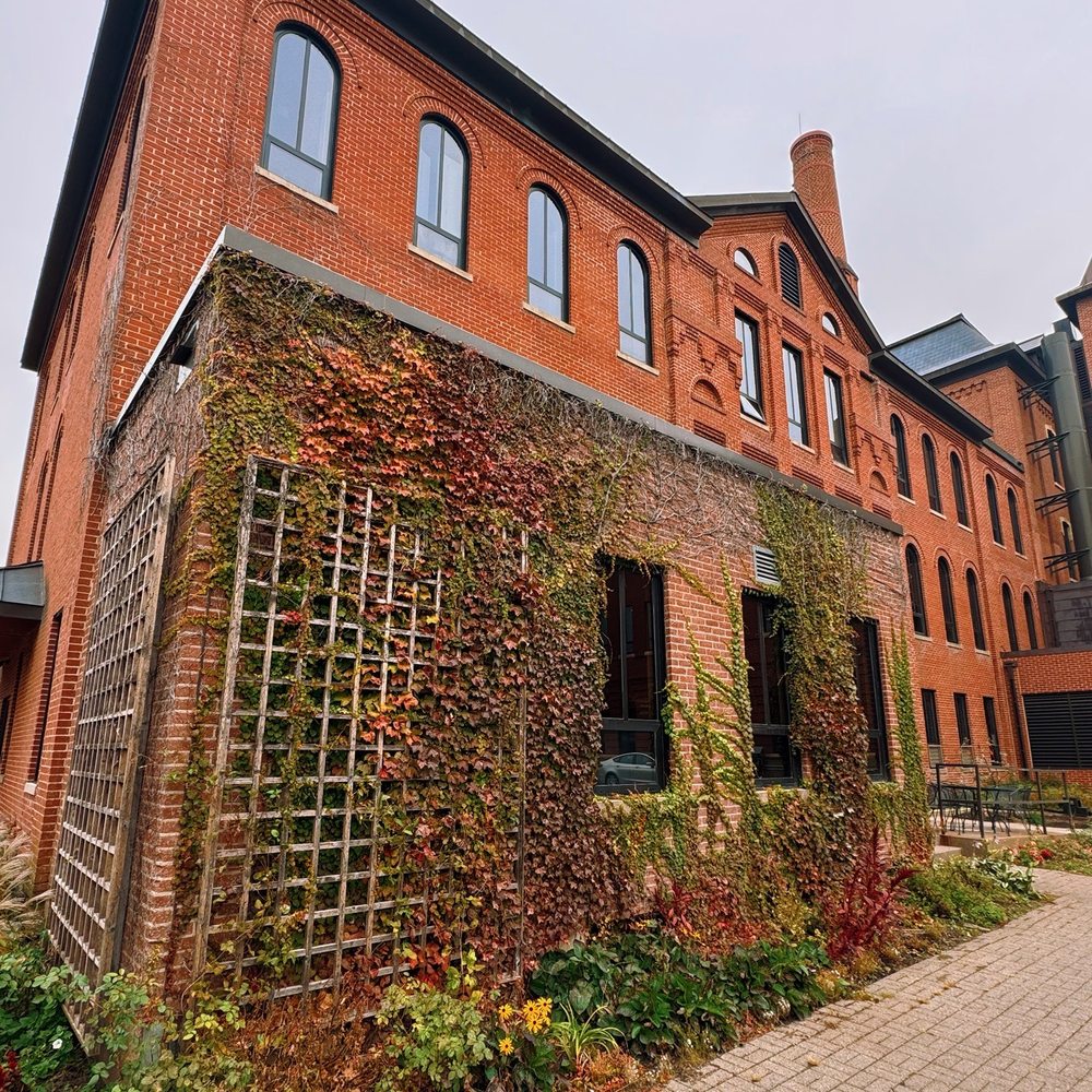 St John's University - Colleges & Universities Near Me - St. Joseph, Minnesota St John's University - Colleges & Universities Near Me - St. Joseph, Minnesota