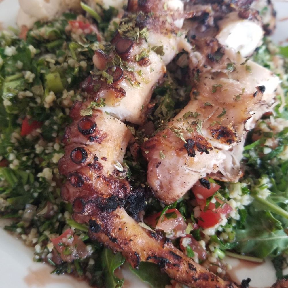 Sofra - Tender, delicious octopus! - Mediterranean Near Me - Lake Worth, Florida Sofra - Tender, delicious octopus! - Mediterranean Near Me - Lake Worth, Florida