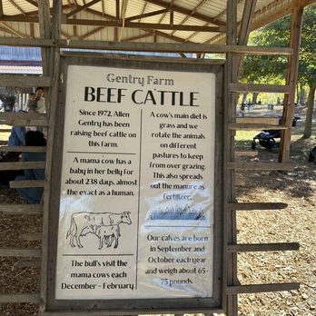 Gentry's Farm - Play area - Farms Near Me - Franklin, Tennessee