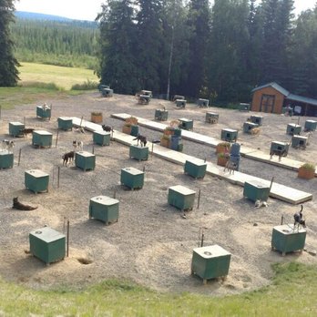 Paws For Adventure - Tours Near Me Paws For Adventure - Tours Near Me